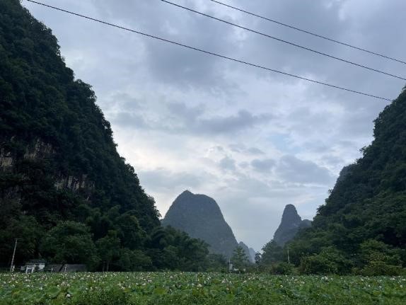 图片3.jpg 图片3.jpg