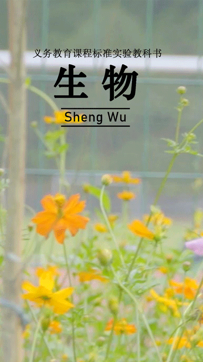 生物.gif