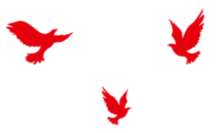 微信图片_20231228213046.png 微信图片_20231228213046.png