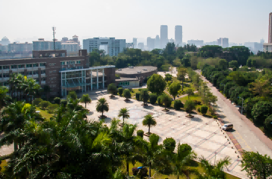 2025102901(1).png 2025102901(1).png